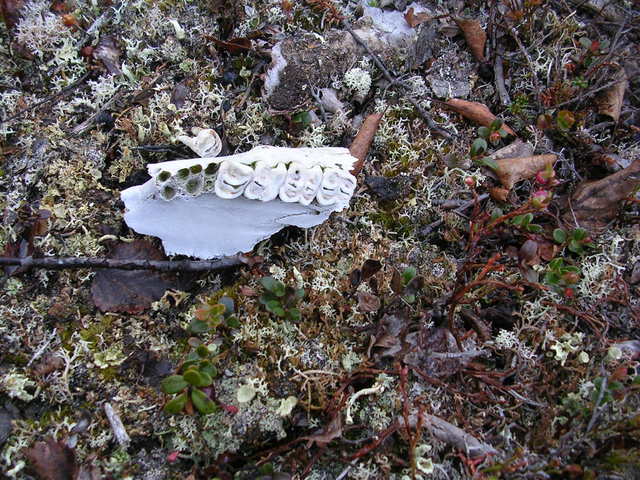 dscn5407.jpg