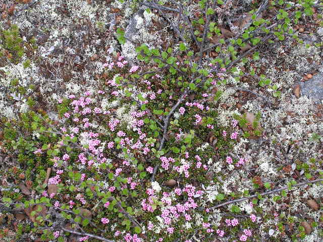 dscn5443.jpg