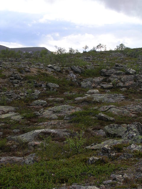 dscn5454.jpg