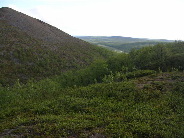 dscn5467.jpg