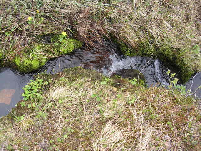 dscn5490.jpg