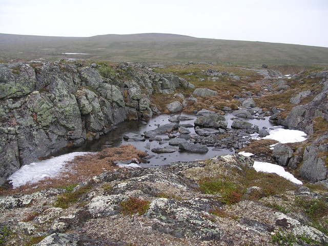 dscn5507.jpg
