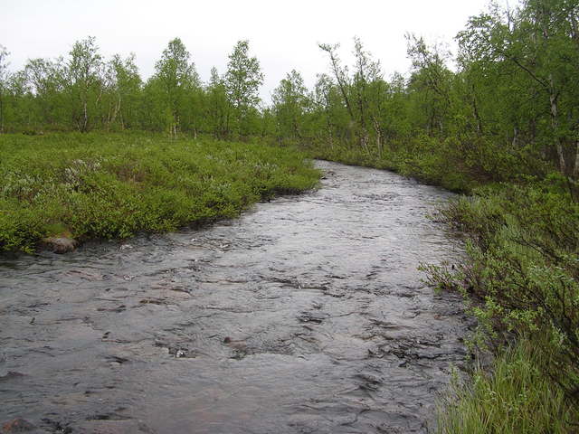 dscn5513.jpg