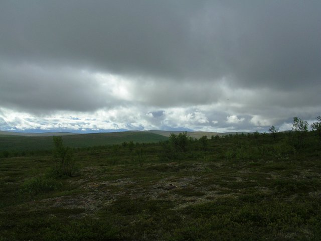dscn5527.jpg