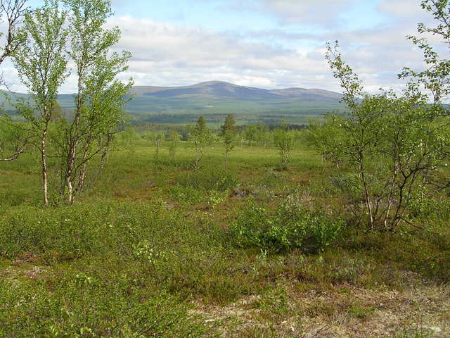 dscn5541.jpg