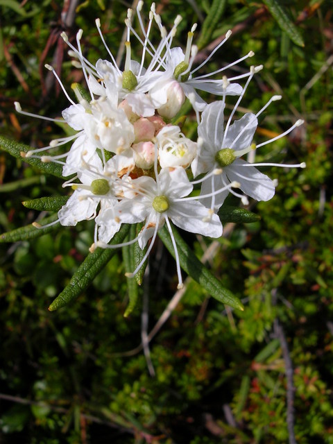dscn5544.jpg