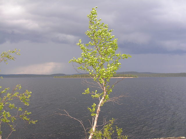 dscn5550.jpg