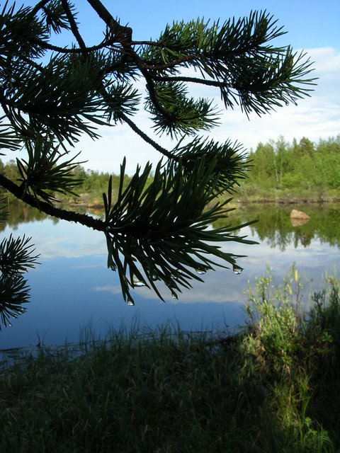 dscn5569.jpg